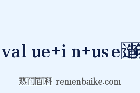 value+in+use造句是什么意思的图片